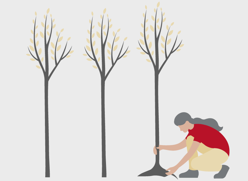 Is England Big Enough to be Self-Sufficient?